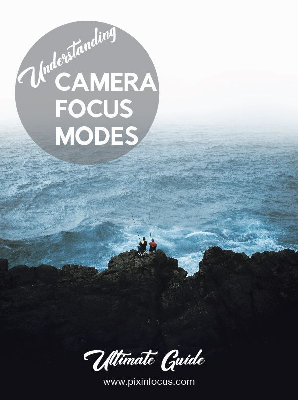 The Complete Guide to Focus in Photography - Pixinfocus | Understanding camera, Landscape ...