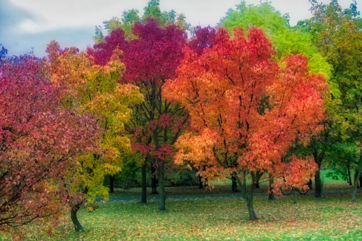 couleurs d'automne / autumn colors Photographie par Jarek Witkowski | Artmajeur