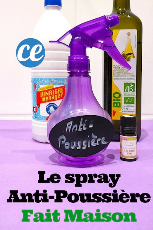 Le Spray Anti-Poussière Fait Maison (Encore Plus Efficace Que l'O'Cedar) | Recette en 2020 (avec ...