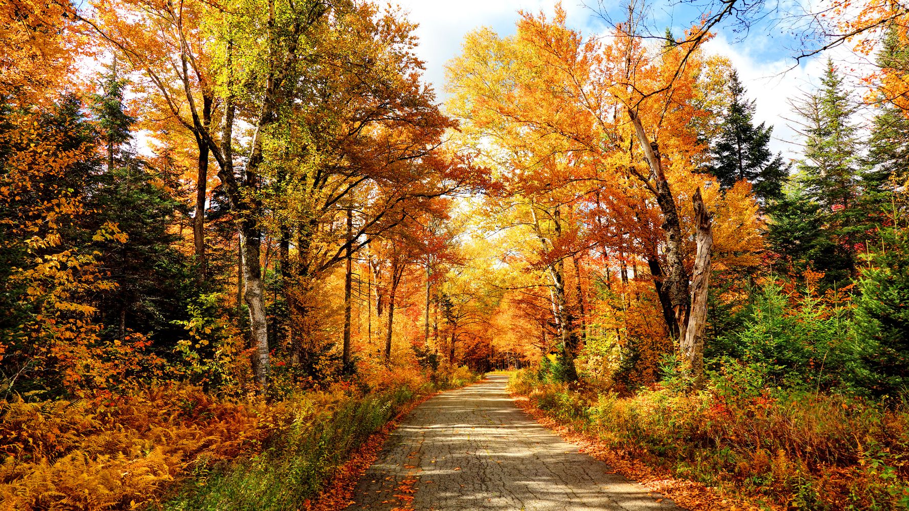 Les six plus beaux paysages à voir cet automne au Québec | HuffPost Québec Vivre