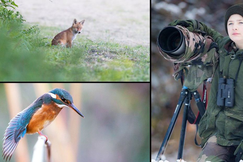 Wambercourt : Gauthier Poiret, 12 ans, meilleur photographe animalier au monde