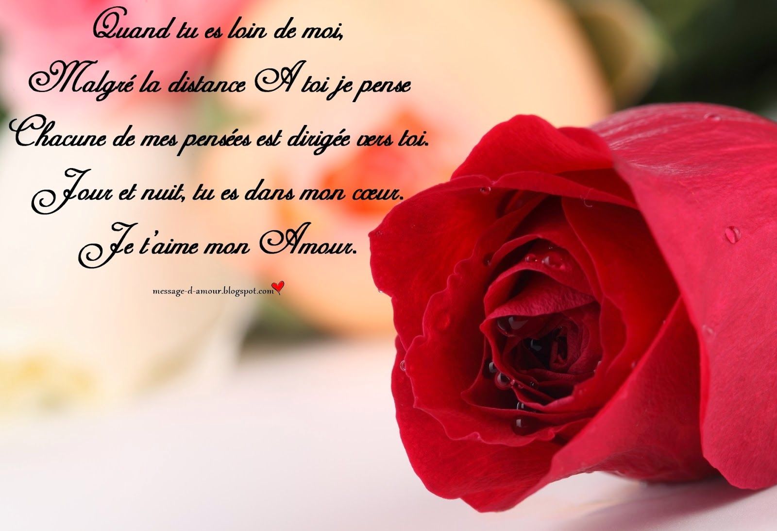 Pin by Mathéo Jade Pruvost on Poèmes et citations | Rose, Messages, Saint valentin