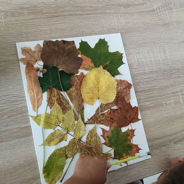 Alexandra sur Instagram : Activité du jour : tableau de feuilles d'automne   Une toile à ...
