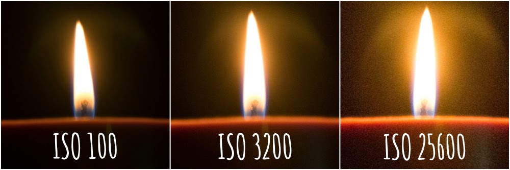 What is ISO? {Photography Basics} | Photography
