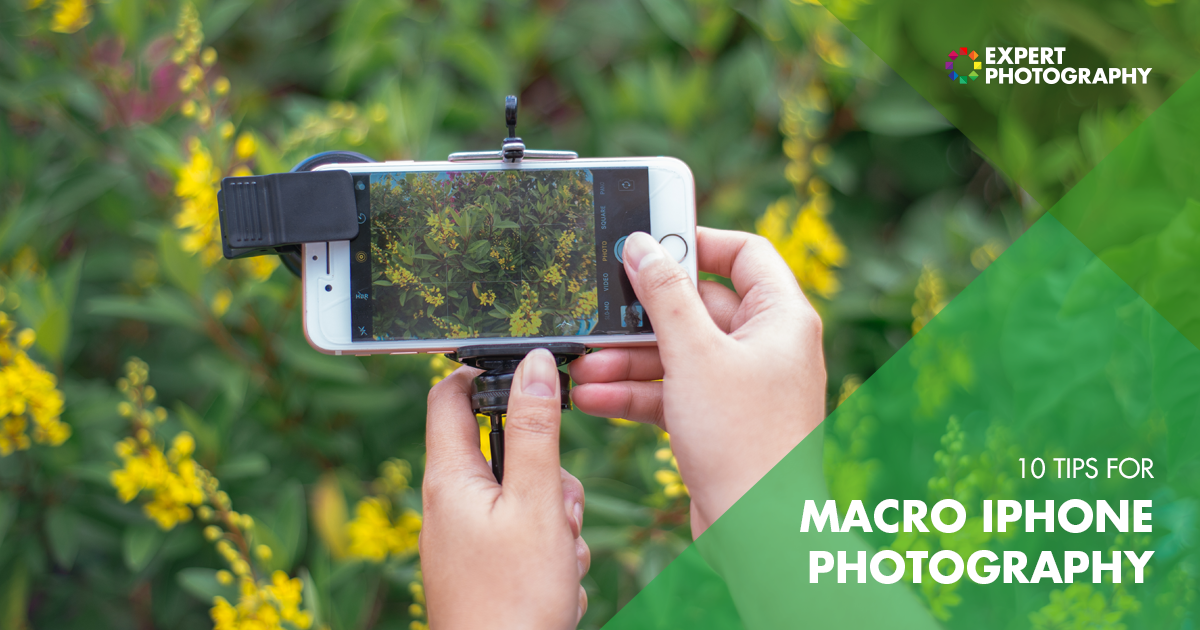 10 Tips for Macro iPhone Photography | Close Up Smartphone Photos