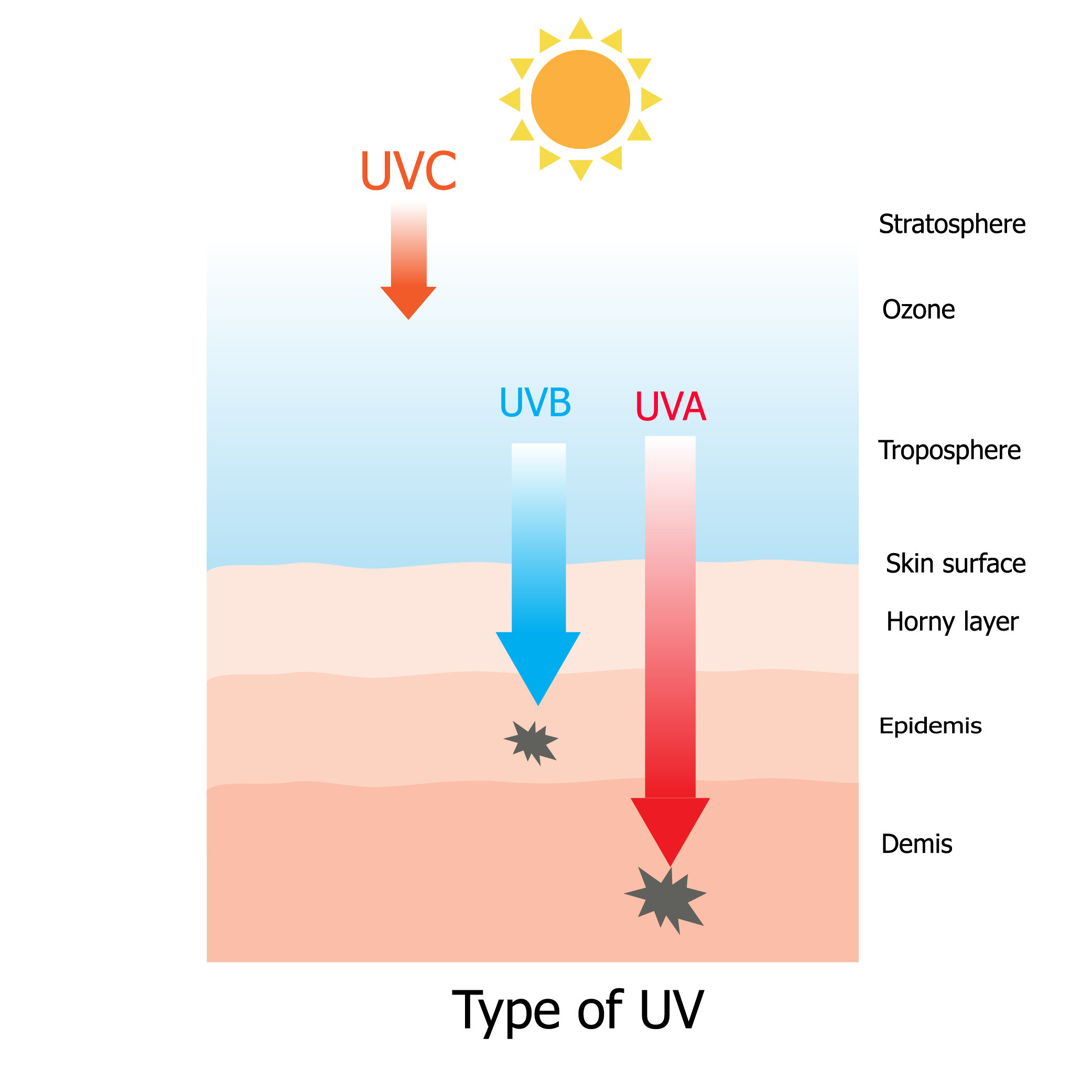 UVA UVB and UVC Rays - Wanderglow