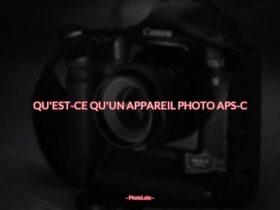 Qu'est-ce qu'un appareil photo APS-C ?