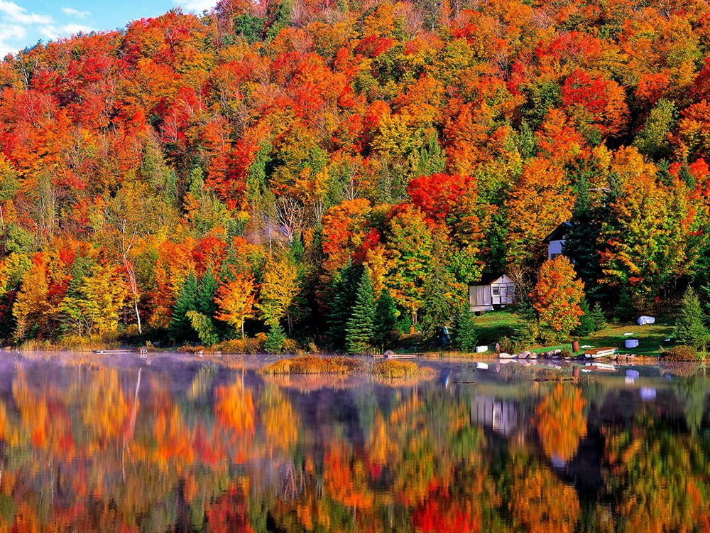 41 raisons de faire de l'automne notre saison préférée