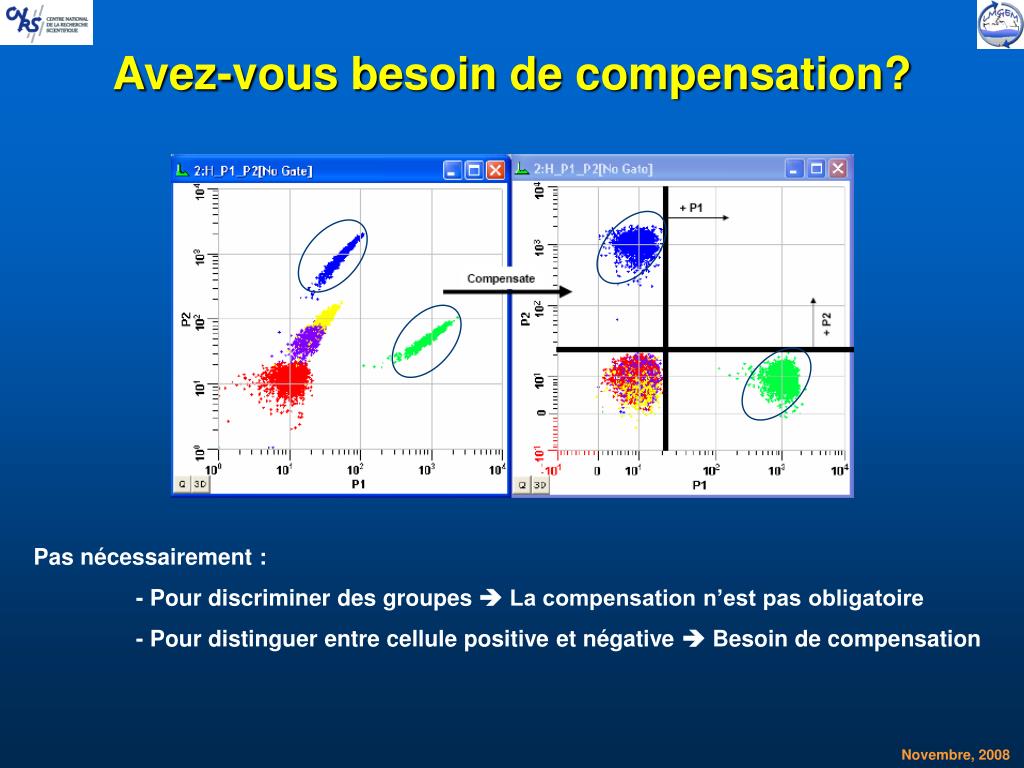 PPT - Compensation PowerPoint Presentation, free download - ID:434518