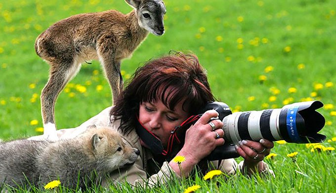 15 raisons pour lesquelles Photographe Animalier est le meilleur job du monde ! - Yummypets