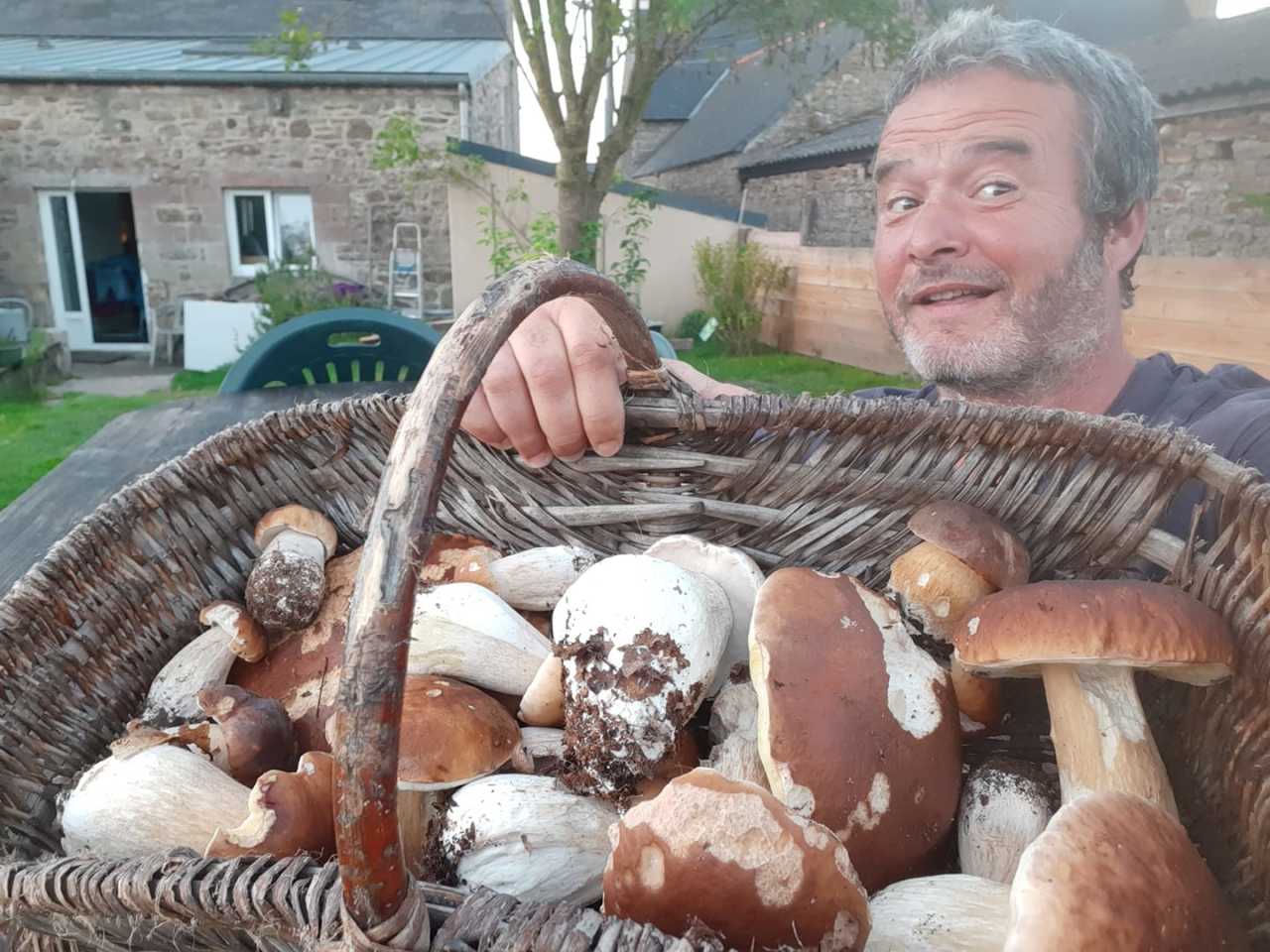 Cueillette des champignons : où, quand et comment trouver les cèpes en Bretagne | L'Écho de l'Argoat