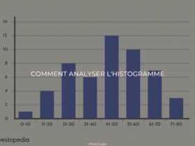 Comment analyser l'histogramme ?