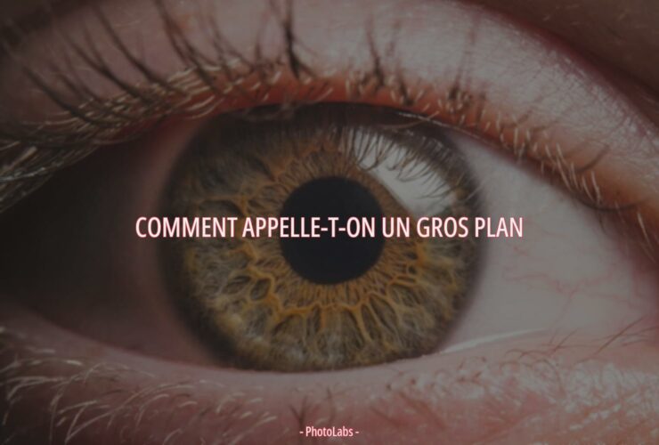 Comment Appelle-t-on un gros plan ?