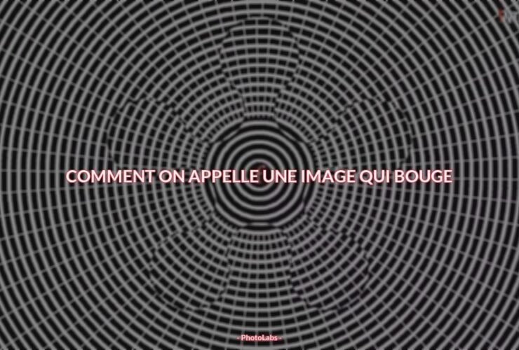 Comment on appelle une image qui bouge ?
