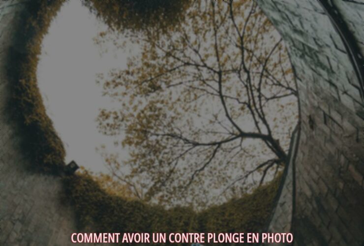 Comment avoir un contre plonge en photo ?