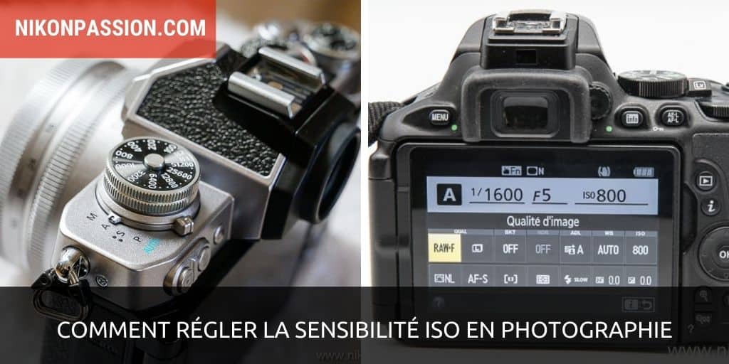 Comment régler la sensibilité ISO en photographie