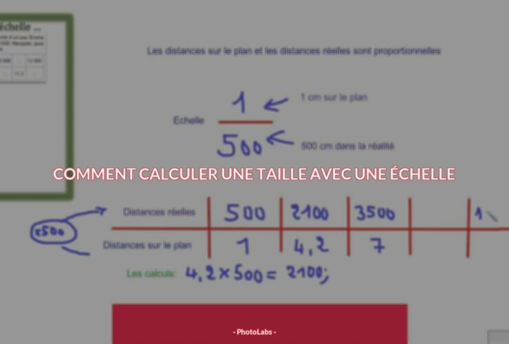 Comment calculer une taille avec une échelle ?