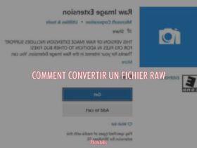 Comment convertir un fichier RAW ?