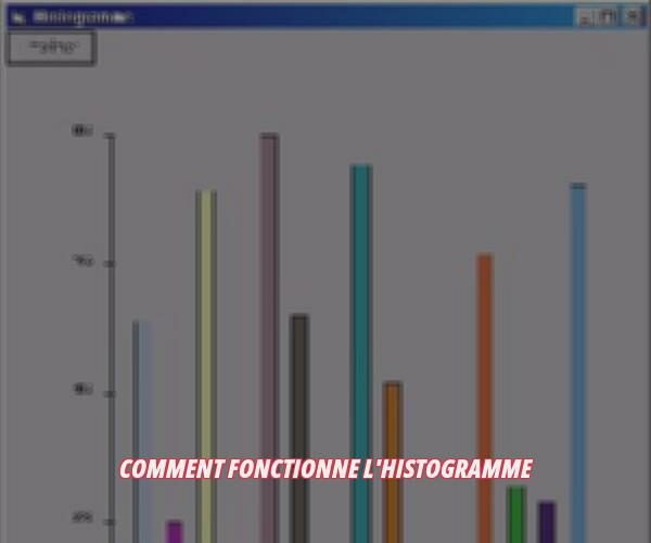 Comment fonctionne l'histogramme ?