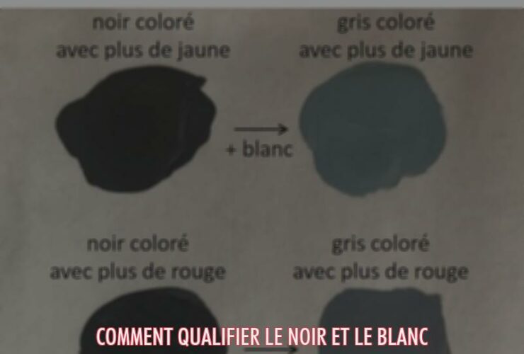 Comment qualifier le noir et le blanc ?