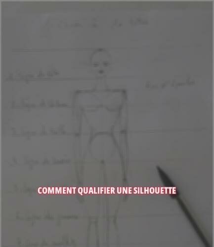Comment qualifier une silhouette ?