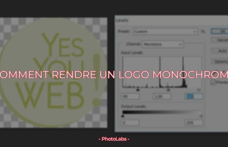 Comment rendre un logo monochrome ?