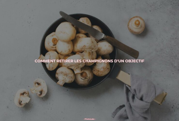 Comment retirer les champignons d'un objectif ?