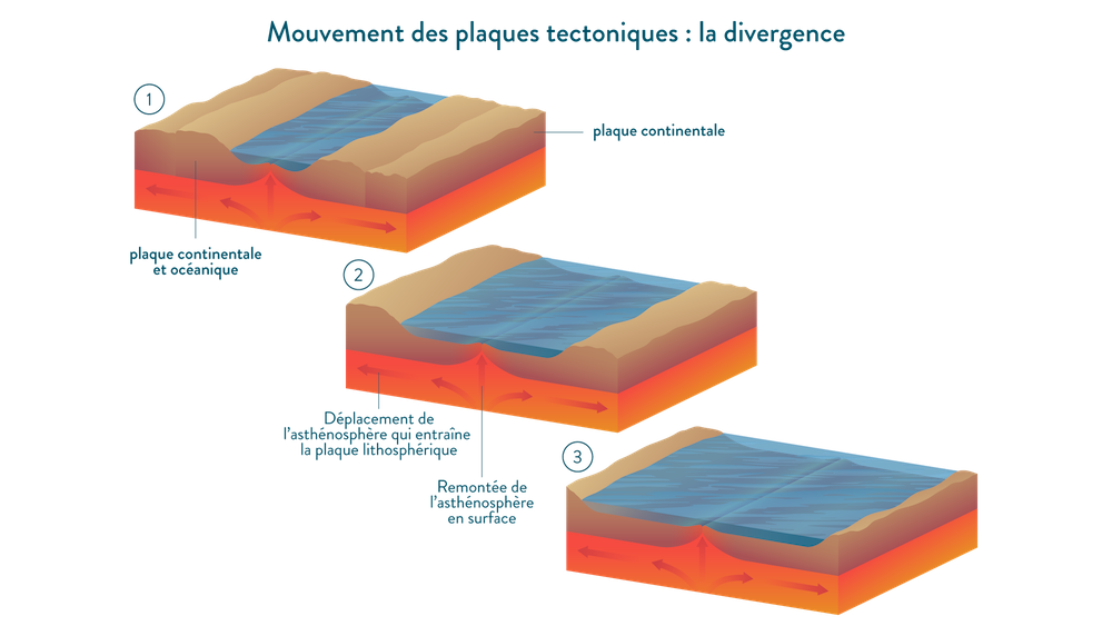 La tectonique des plaques : cours 5e (et 4e, 3e) - SVT