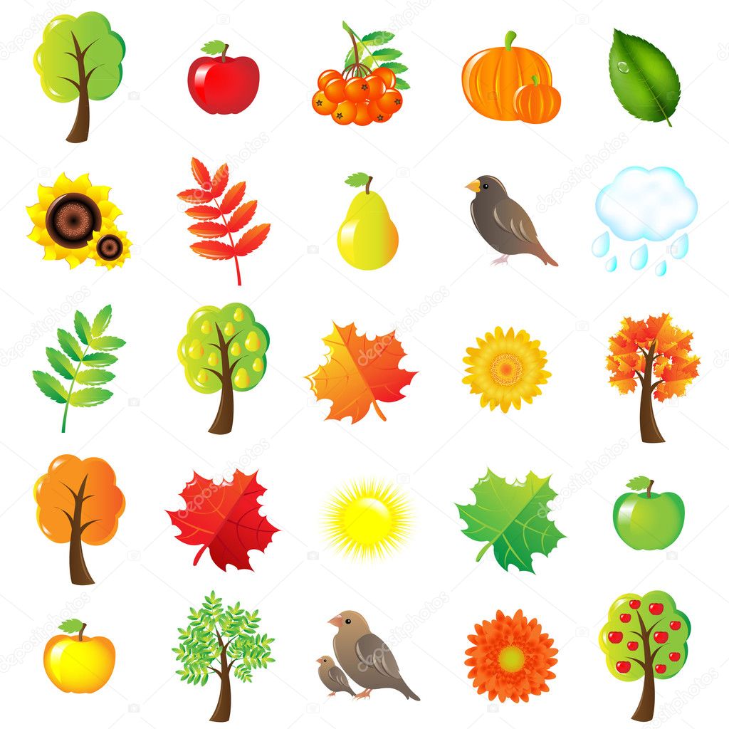 Symboles et éléments d'automne image vectorielle par adamson © Illustration #3733248