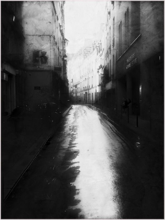 Le contraire et son contraire | Monochrome photography, Photography, Black and white