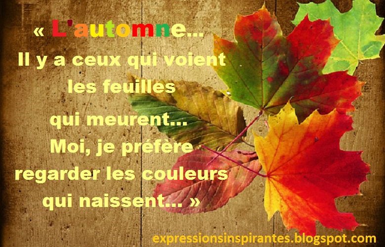 Expressions : L'automne