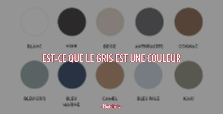Est-ce que le gris est une couleur ?