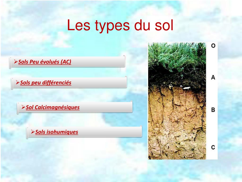PPT - Analyses des sols PowerPoint Presentation, free download - ID:5413482
