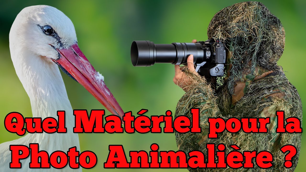 Quel Matériel pour la Photographie Animalière ? [ Appareil photo, Objectif, Camouflage ...