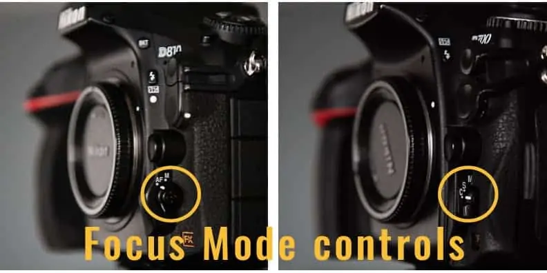 Focus modes and drive modes - the differences - The Lens Lounge