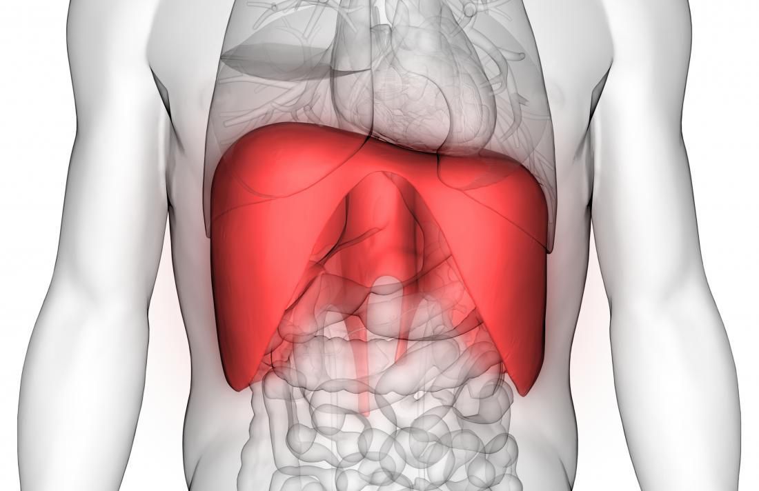Le diaphragme, votre allié bien-être - Entraide Fibromyalgie Ouest (E.F.O.35)