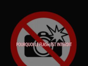 Pourquoi le flash est interdit ?