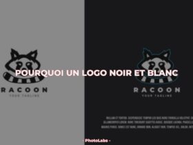 Pourquoi un logo noir et blanc ?