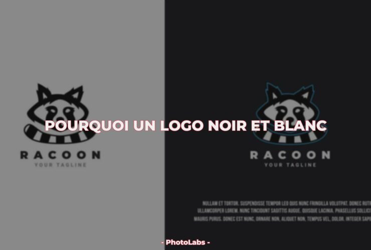 Pourquoi un logo noir et blanc ?