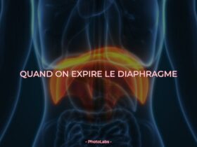 Quand on expire le diaphragme ?