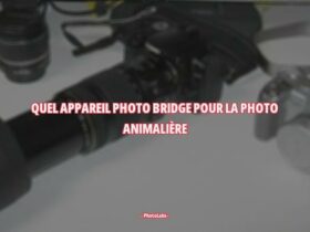 Quel appareil photo bridge pour la photo animalière ?
