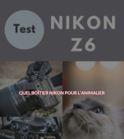 Quel boîtier Nikon pour l'animalier ?
