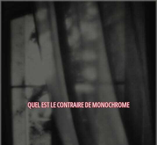 Quel est le contraire de monochrome ?