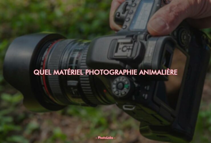 Quel matériel photographie animalière ?