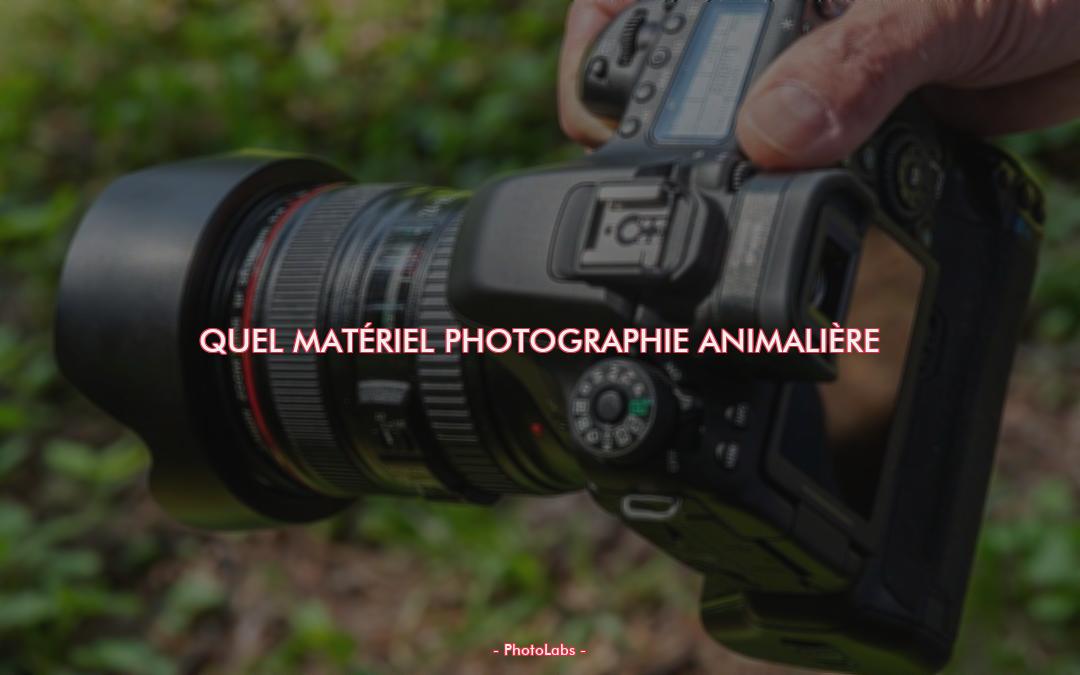 Quel matériel photographie animalière ?