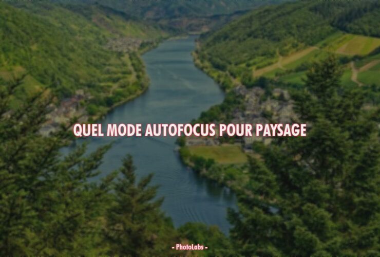 Quel mode autofocus pour paysage ?