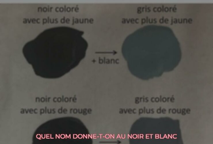 Quel nom Donne-t-on au noir et blanc ?