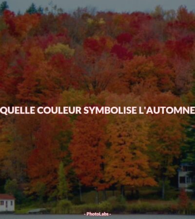Quelle couleur symbolise l'automne ?