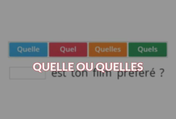 Quelle ou quelles ?