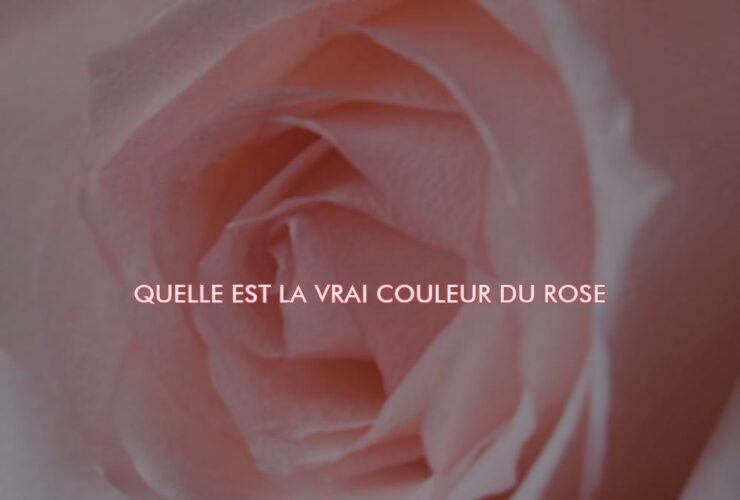 Quelle est la vrai couleur du rose ?